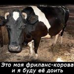 freelance-korova